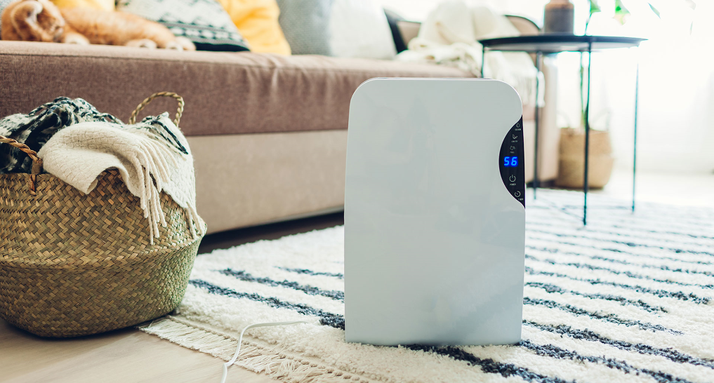 using a dehumidifier