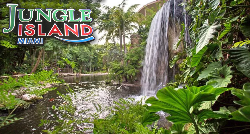 stock photo of jungle island