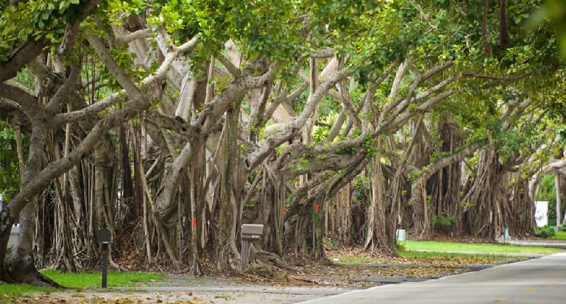 free things to do in miami with family