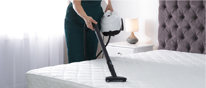 Prepare for bed bug treatments