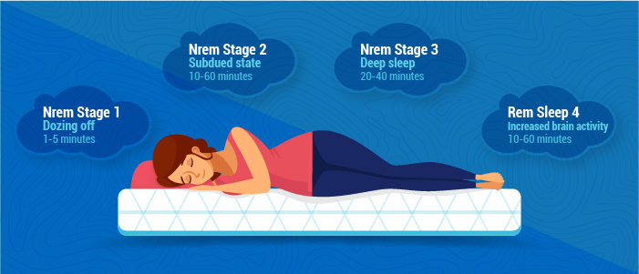 Sleep stages