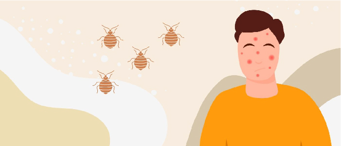 Scabies on a mattress