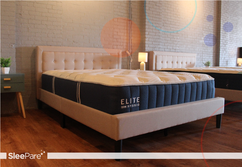Bear mattress showroom Bear mattress showroom