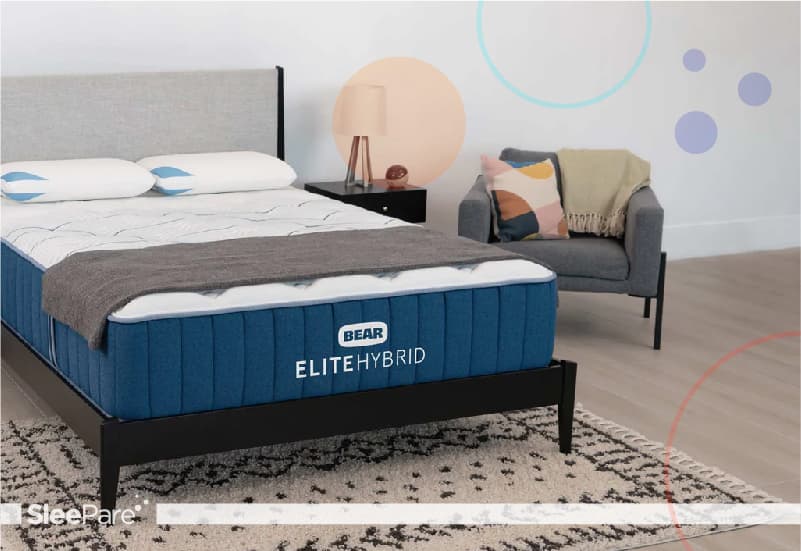bear-mattress
