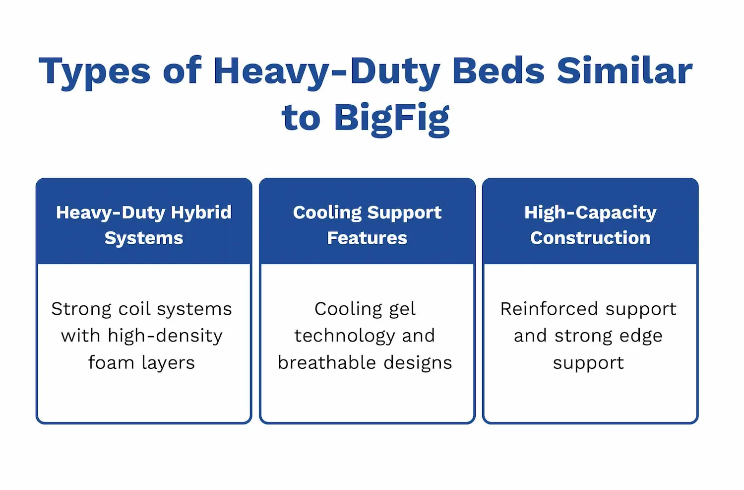  Types of Heavy-Duty Beds Similar to BigFig