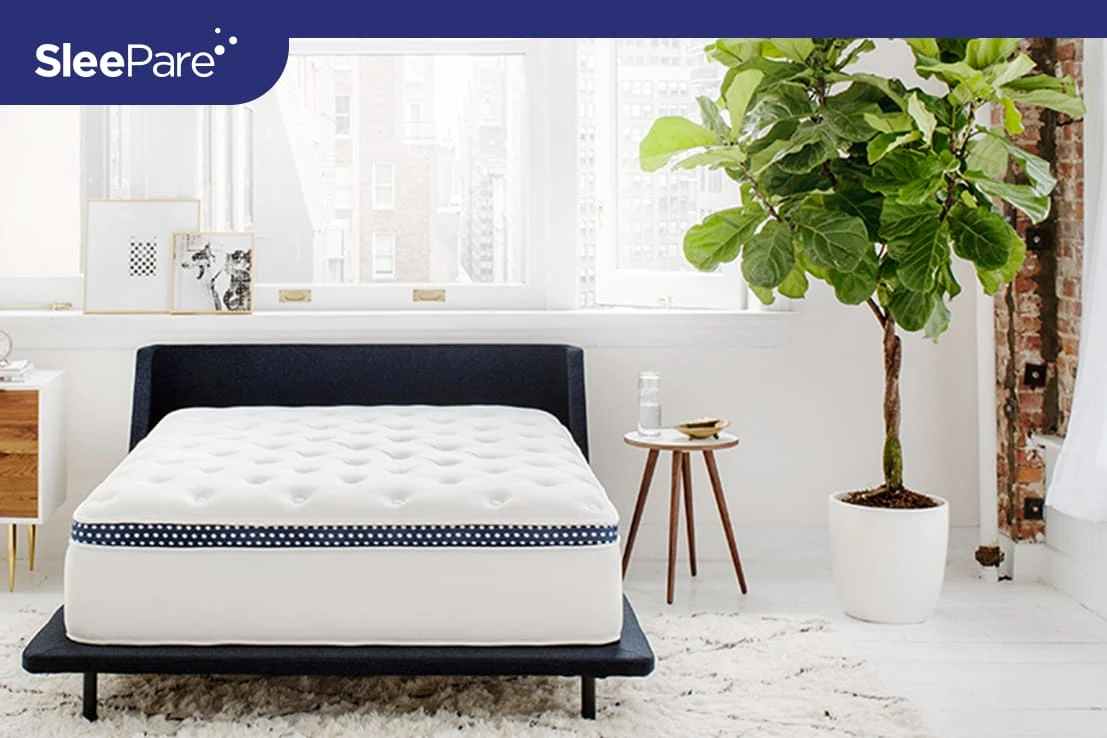 WinkBeds Hybrid Mattress